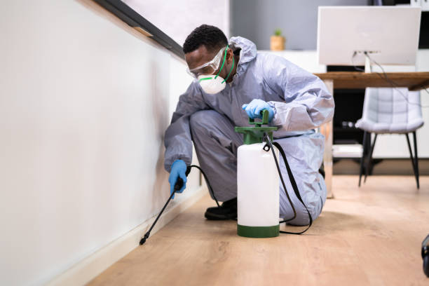 Professional Pest control in Big Rapids, MI